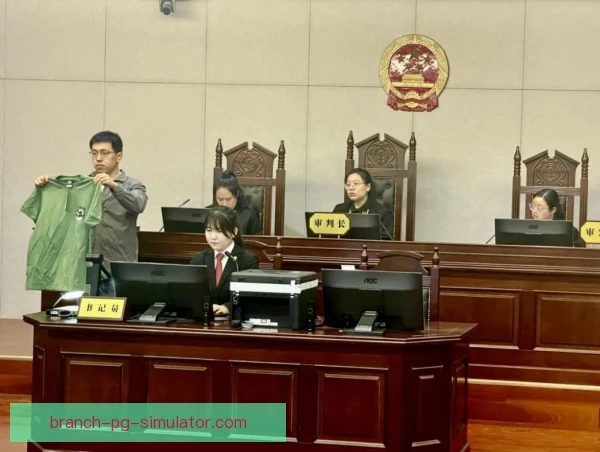 视频助理裁判压力转化方式，专注流程稳住判罚